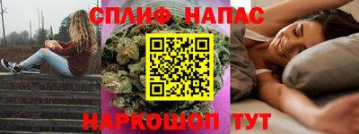гидра Будённовск