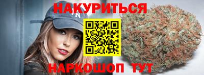 гидра Будённовск