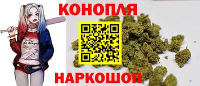 гидра Будённовск
