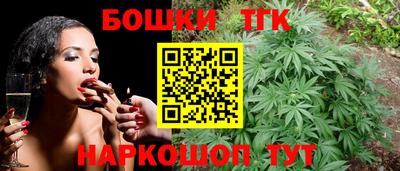 гидра Будённовск