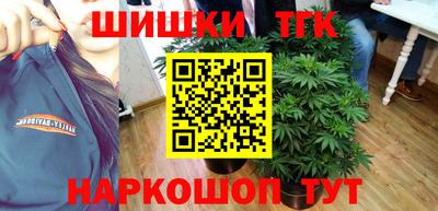 гидра Будённовск