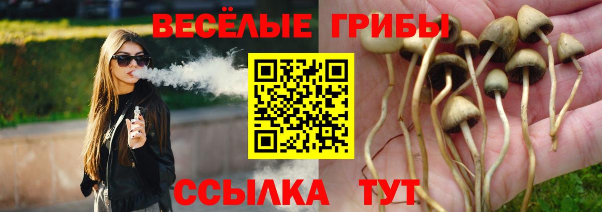 Галлюциногенные грибы Psilocybine cubensis Южно-Сахалинск